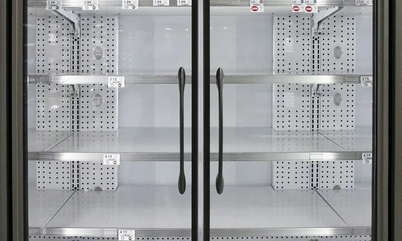 Freezer inteligente: como transformar o congelador num aliado financeiro