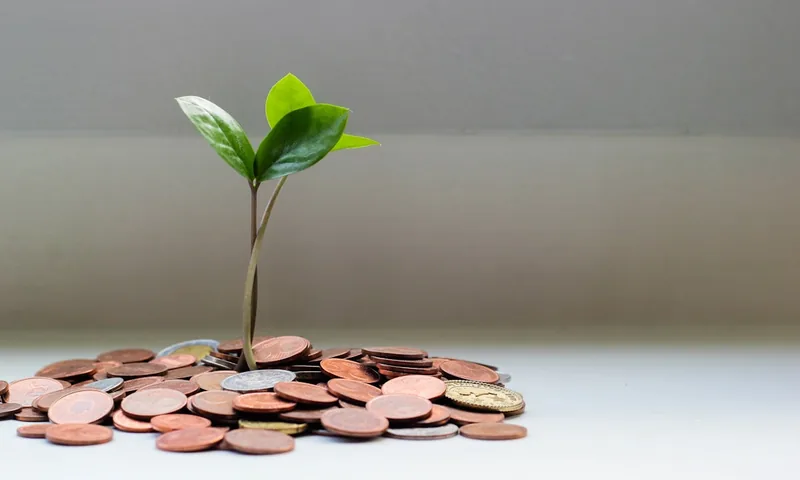 Inflação alimentar em 2024-2025: o que os dados dizem sobre os próximos meses