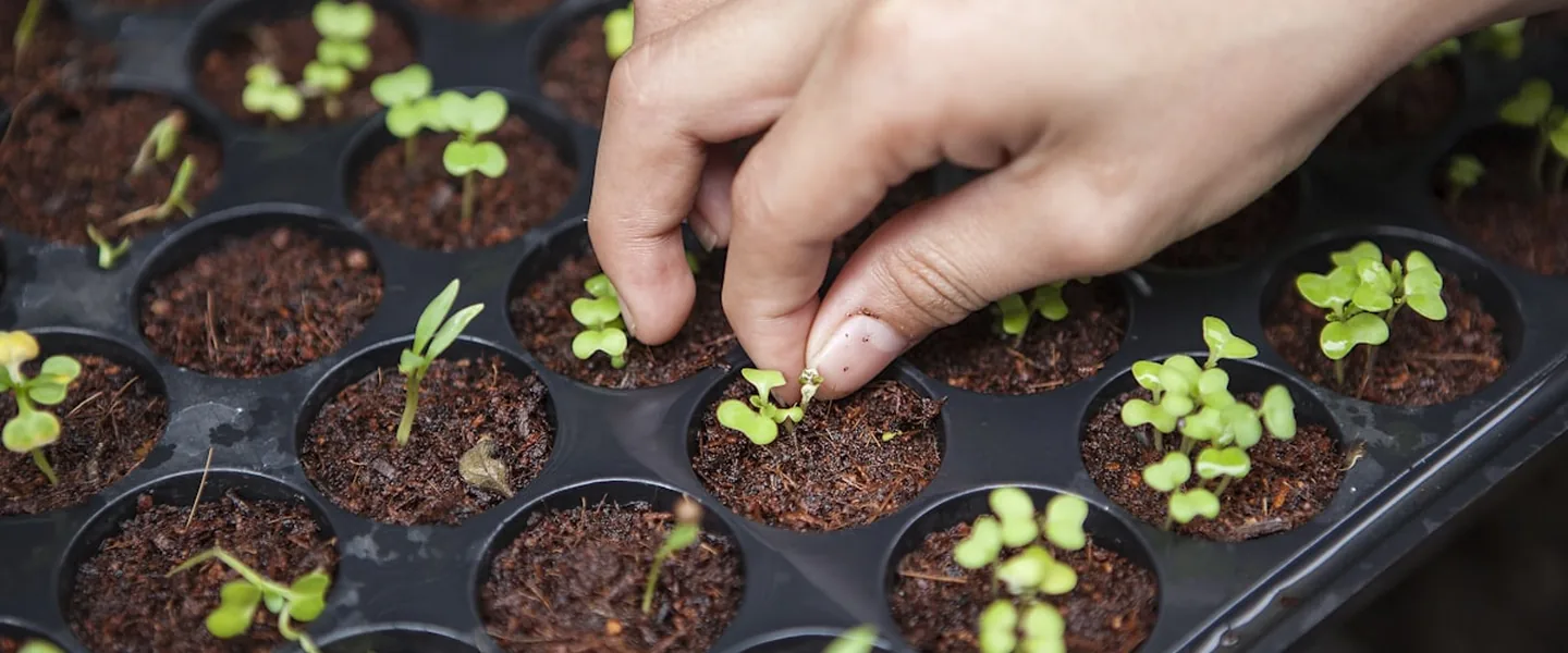 Desperdiças 120€ por mês? O que os dados dizem sobre o desperdício alimentar português