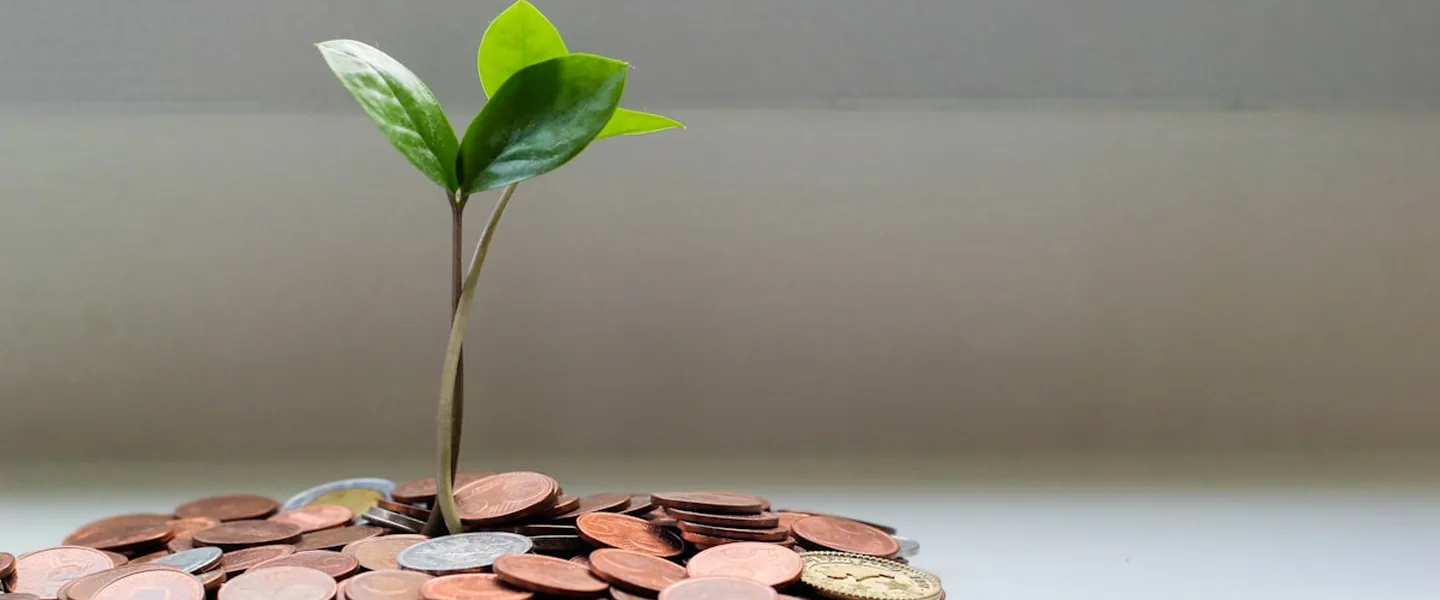 Inflação alimentar em 2024-2025: o que os dados dizem sobre os próximos meses